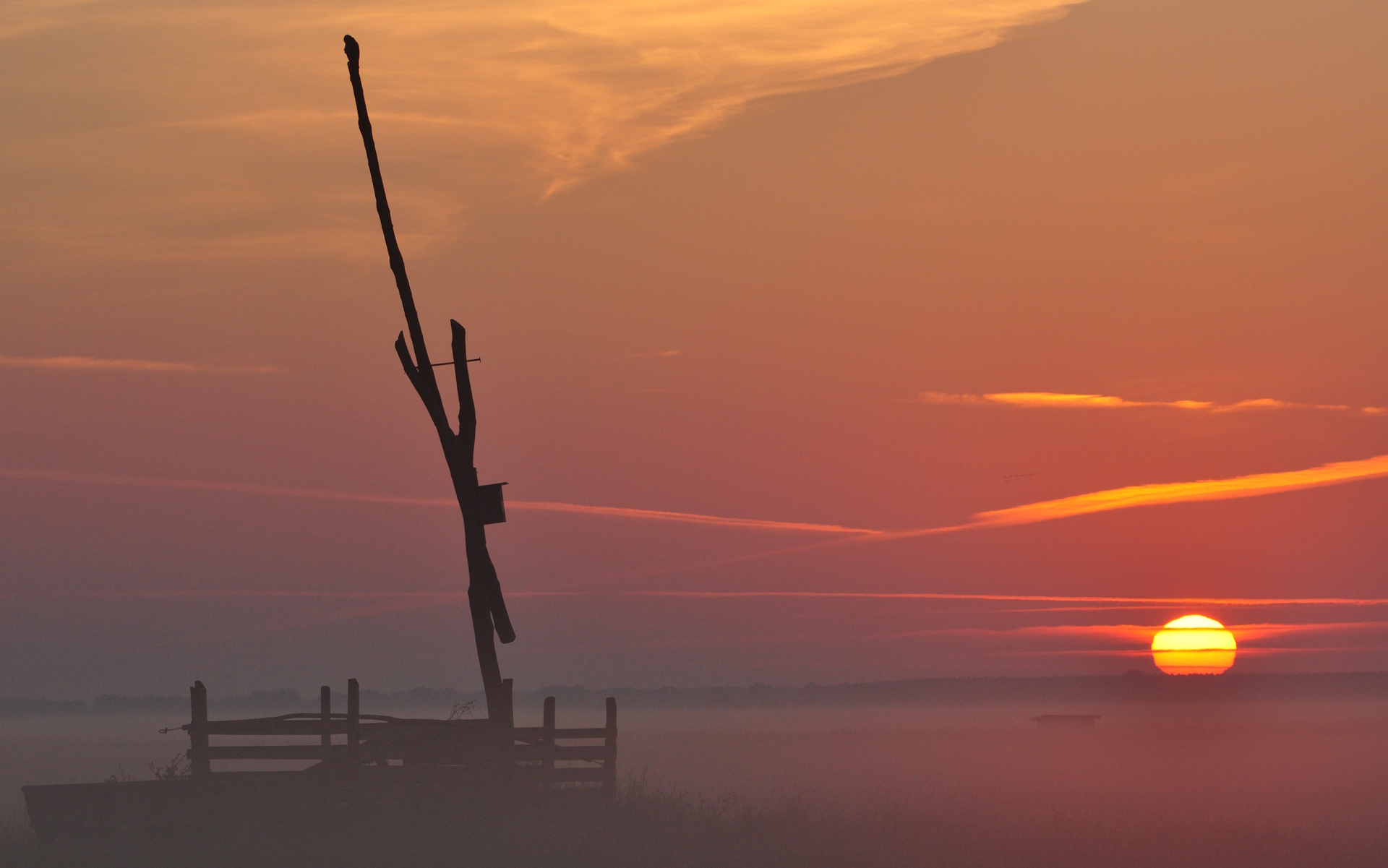 1. kép Napfelkelte a pusztában.jpg